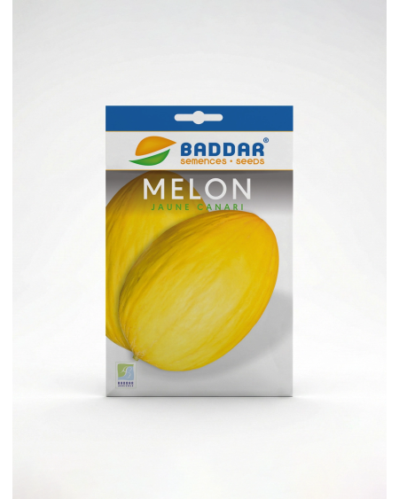 Semence Melon Jaune Canaria Baddar | Agriclic.tn