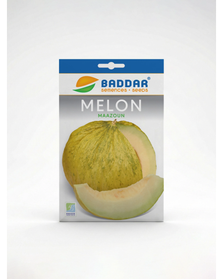 Semence Melon Maazoun Baddar | Agriclic.tn