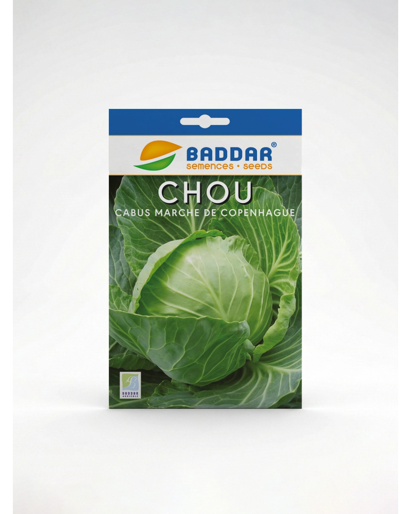 Chou Cabus Marché de Copenhague Baddar | Agriclic.tn