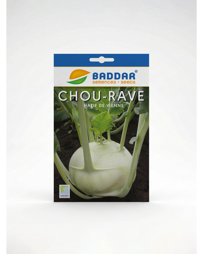 Chou-rave Hâtif de Vienne Baddar – Semences | Agriclic.tn