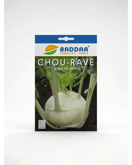 Chou-rave Hâtif de Vienne Baddar – Semences | Agriclic.tn