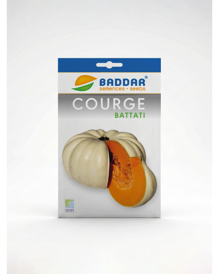 Courge Battati Baddar – Semences potagères | Agriclic.tn