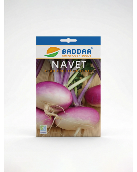 Semence Navet Gabsi Collet Violet Baddar | Agriclic.tn
