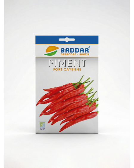 Semence Piment Fort Cayenne Baddar | Agriclic.tn