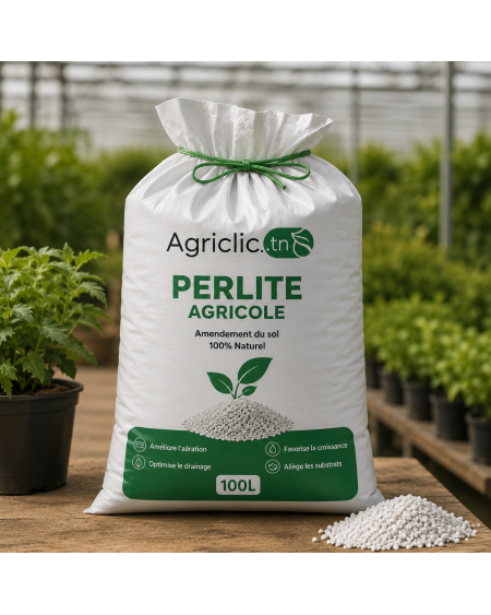 Perlite Agricole