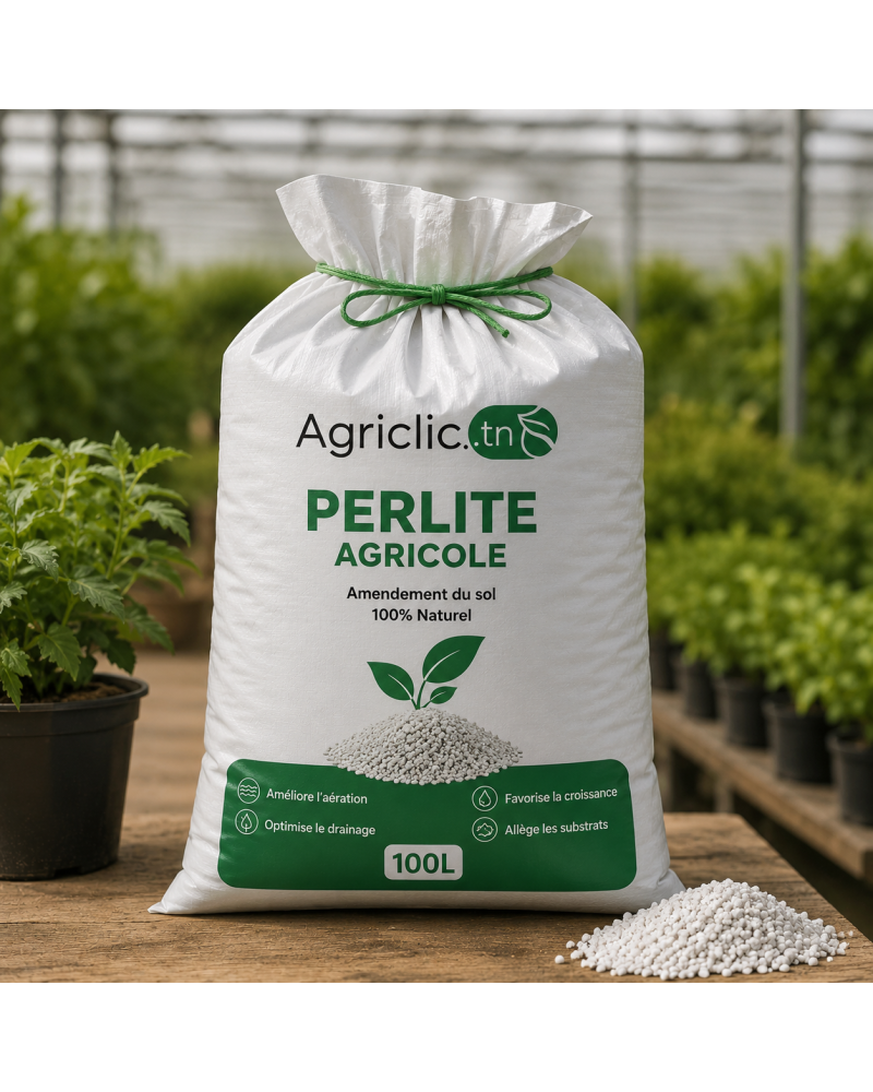 Perlite Agricole