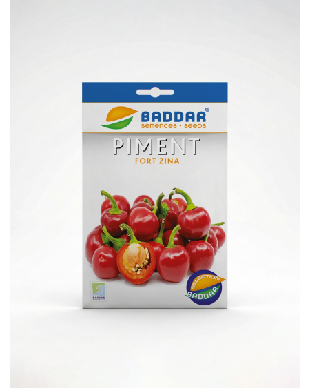 Semence Piment Fort Zina Baddar | Agriclic.tn