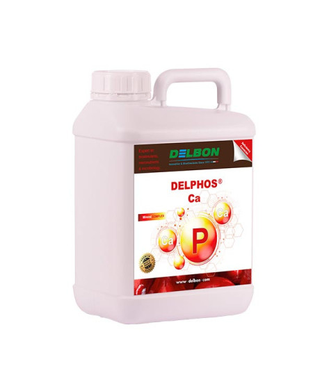 DELPHOS Ca – Phosphore 21 % et calcium 6,3 %