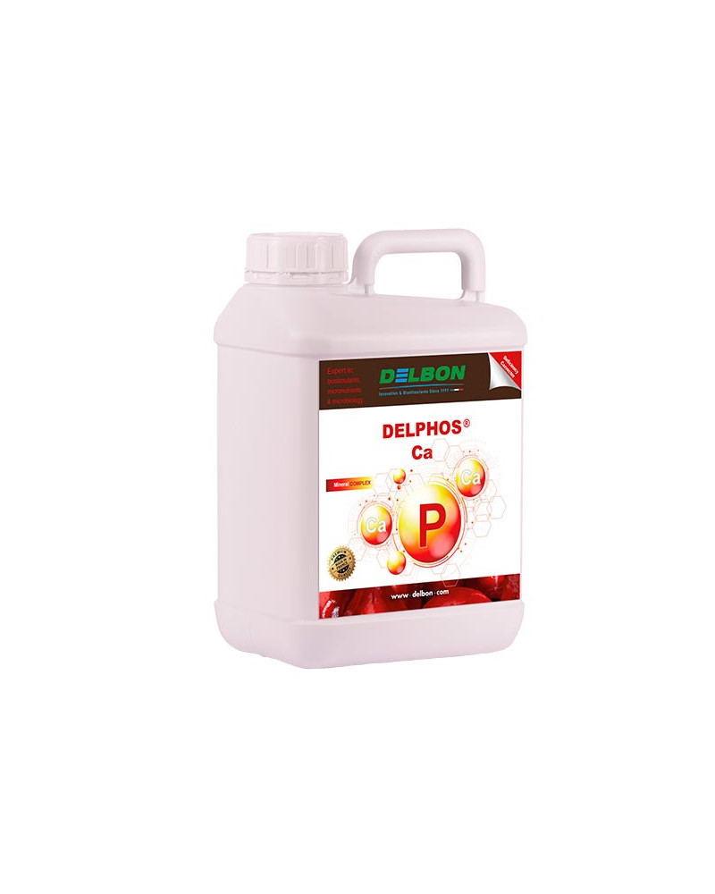 DELPHOS Ca – Phosphore 21 % et calcium 6,3 %