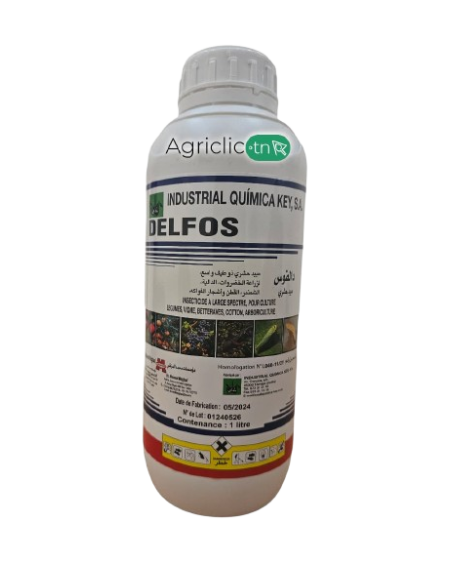 DELFOS