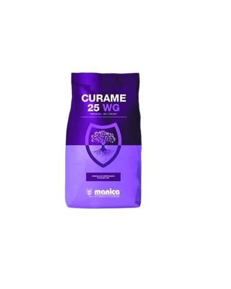 CURAME 25 WG – Fongicide anti-mildiou | Agriclic.tn