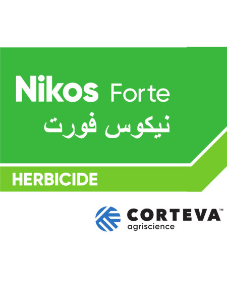 Nikos Forte
