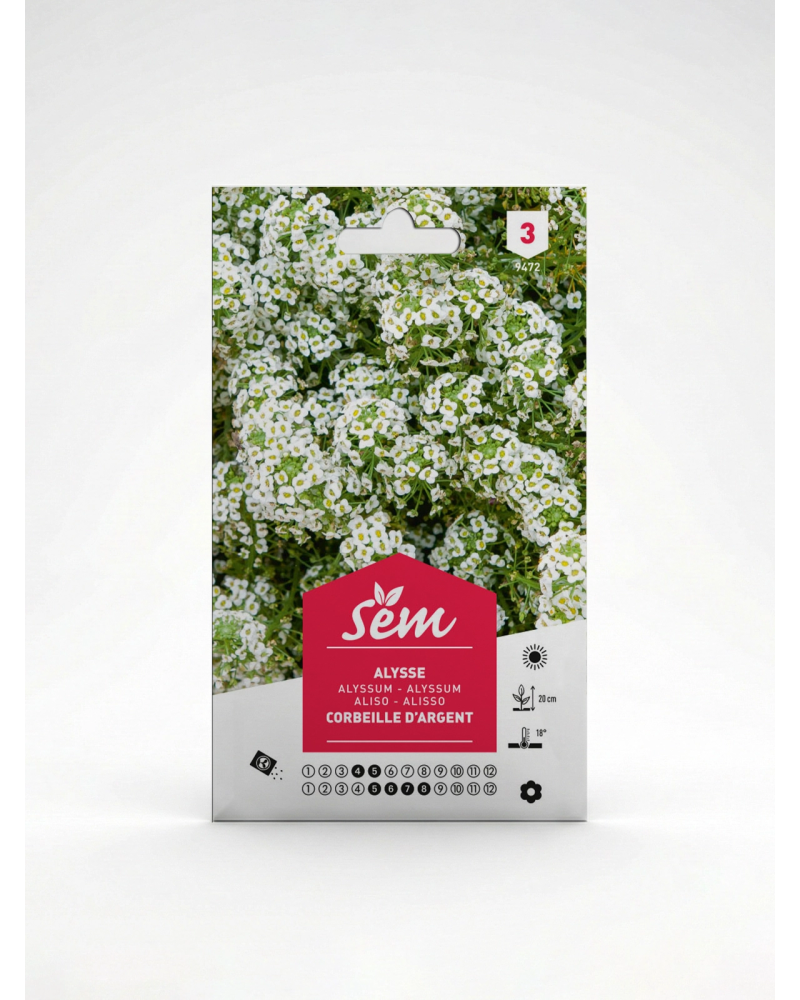 Alysse Corbeille d’Argent M – Semences | Agriclic.tn