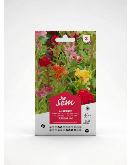Semence Amaranthe Crête de Coq | Agriclic.tn