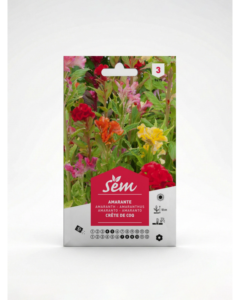 Semence Amaranthe Crête de Coq | Agriclic.tn