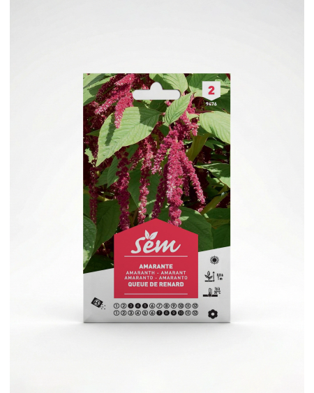 Semence Amaranthe Queue de Renard | Agriclic.tn