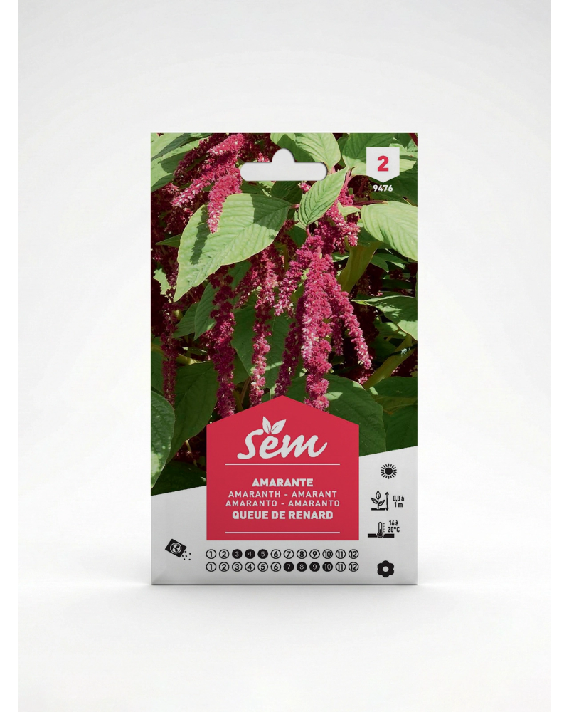 Semence Amaranthe Queue de Renard | Agriclic.tn