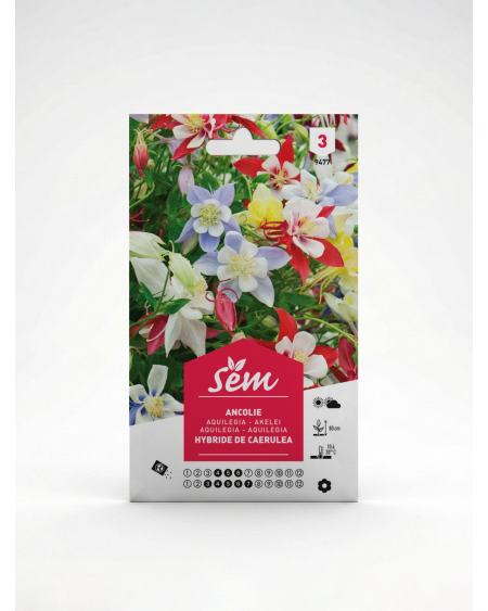 Ancolie – Semences de fleurs Aquilegia | Agriclic.tn