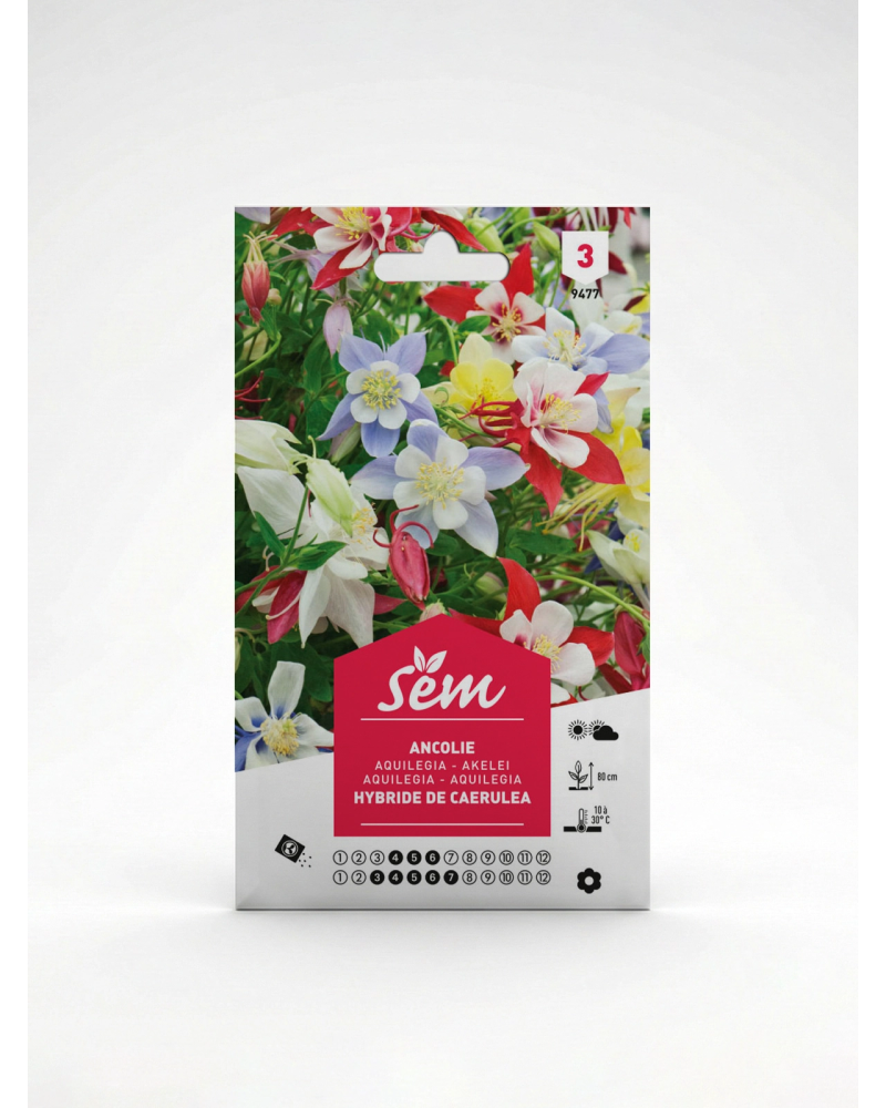 Ancolie – Semences de fleurs Aquilegia | Agriclic.tn