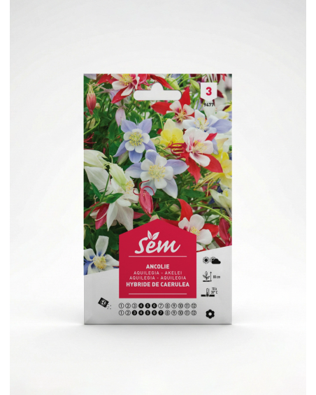 Ancolie – Semences de fleurs Aquilegia | Agriclic.tn