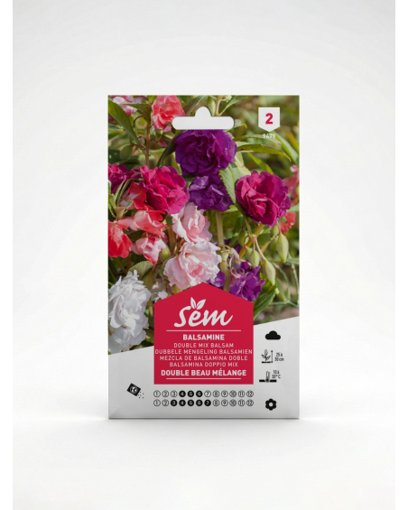 Semence Balsamine – Fleur Ornementale | Agriclic.tn