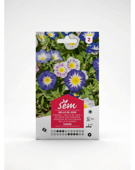 Semence Belle de Jour Variée – Fleur | Agriclic.tn