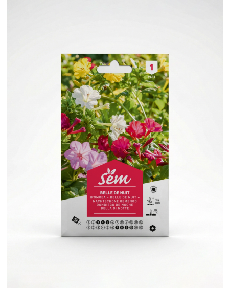 Semence Belle de Nuit | Fleur Parfumée