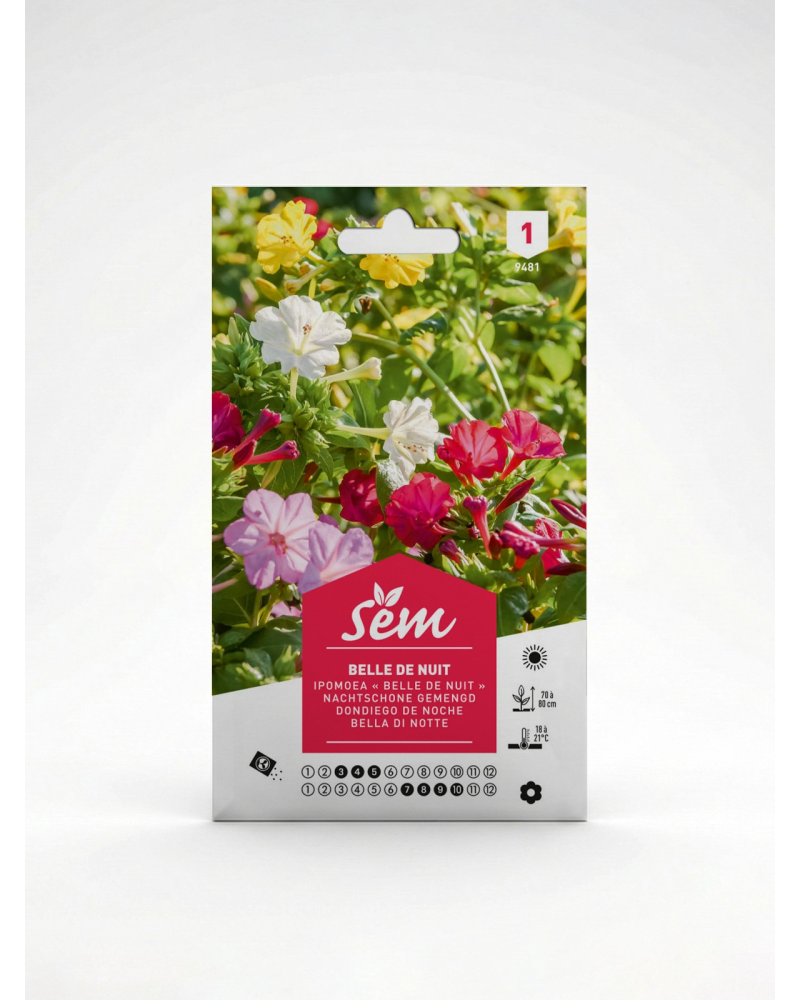 Semence Belle de Nuit | Fleur Parfumée