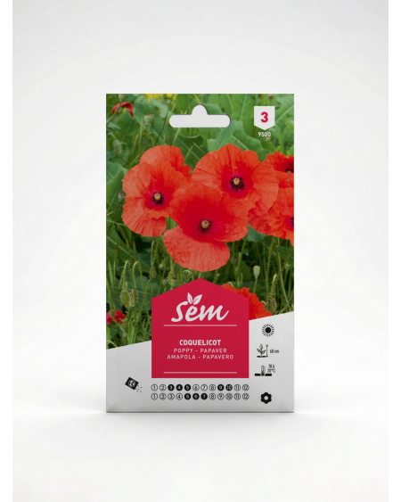 Coquelicot – Semences de Fleurs Ornementales | Agriclic.tn