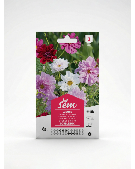 Cosmos Double Mix – Semences de Fleurs | Agriclic.tn