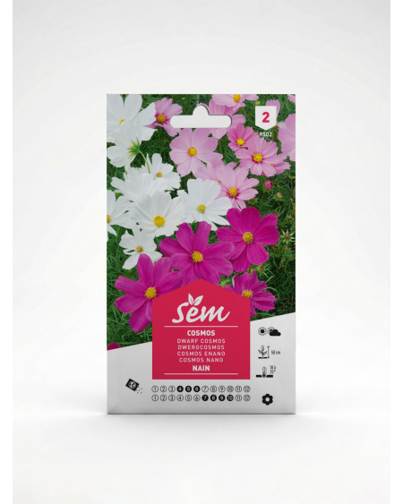Cosmos Nain – Semences de Fleurs | Agriclic.tn