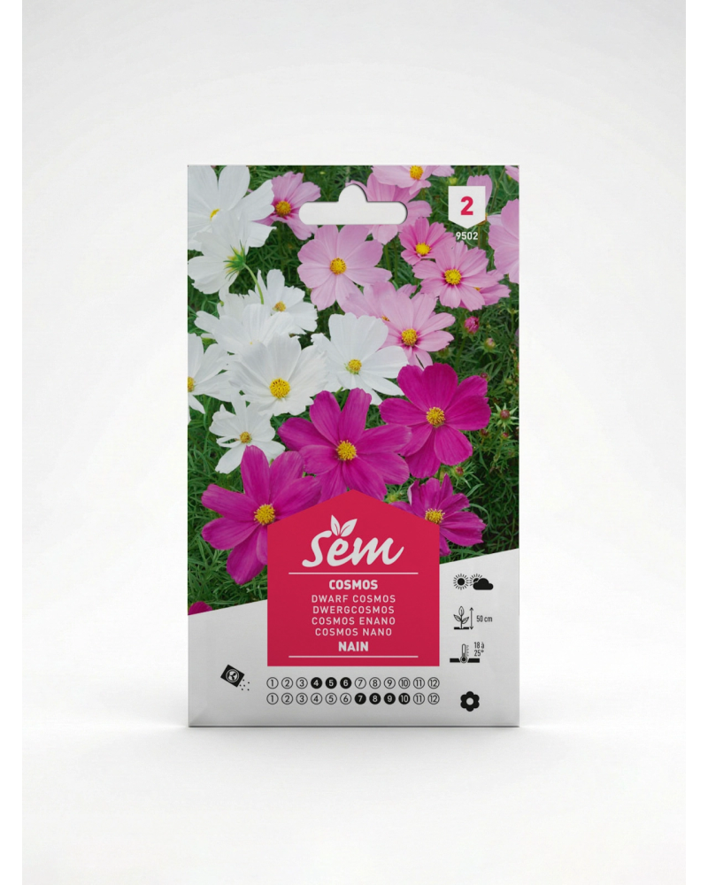 Cosmos Nain – Semences de Fleurs | Agriclic.tn