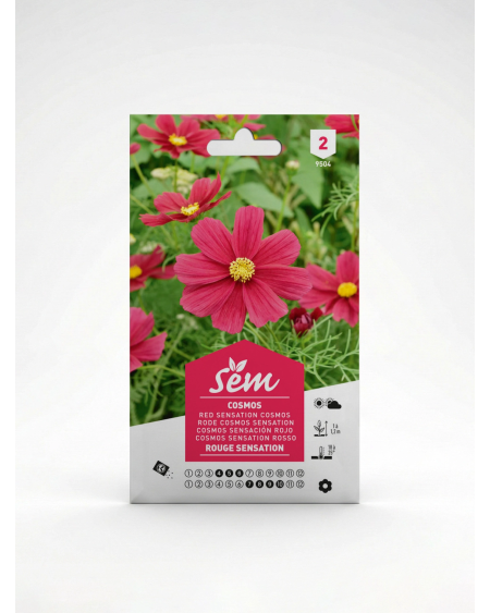 Cosmos Rouge Sensation – Semences de Fleurs | Agriclic.tn