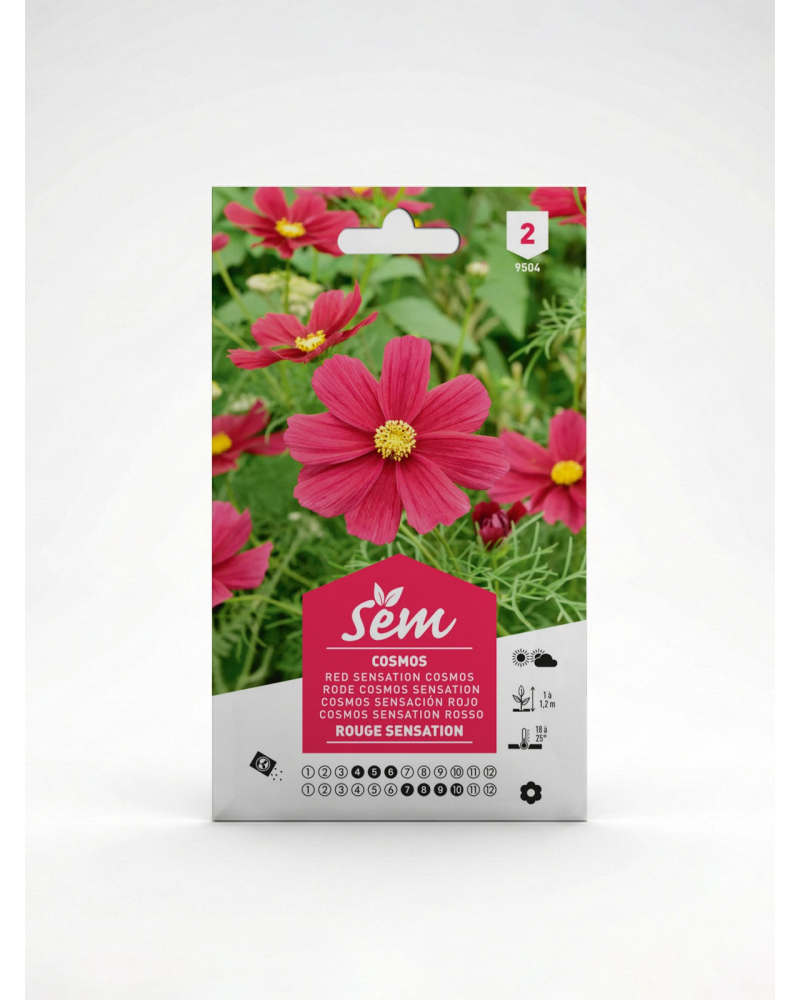 Cosmos Rouge Sensation – Semences de Fleurs | Agriclic.tn