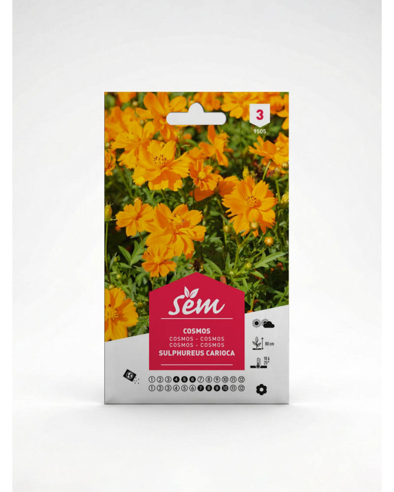 Cosmos – Semences de Fleurs Ornementales | Agriclic.tn