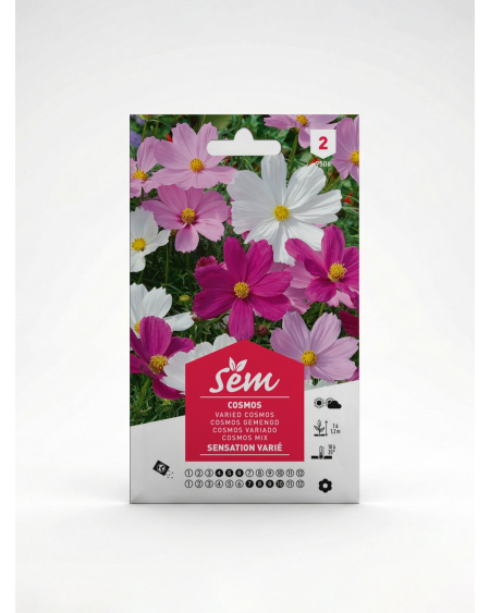 Cosmos Sensation Variée – Semences de Fleurs | Agriclic.tn