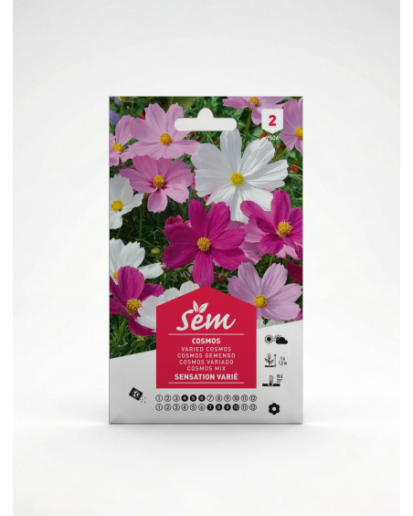 Cosmos Sensation Variée – Semences de Fleurs | Agriclic.tn