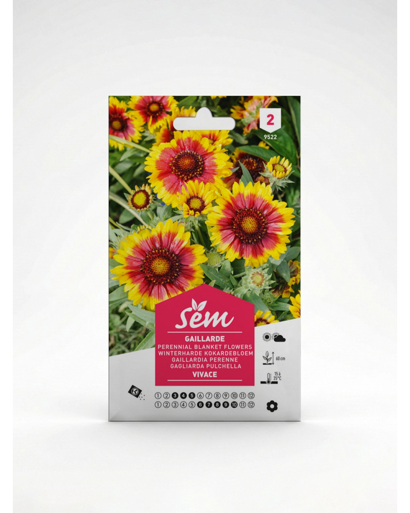 Gaillarde Vivace – Semences de Fleurs | Agriclic.tn
