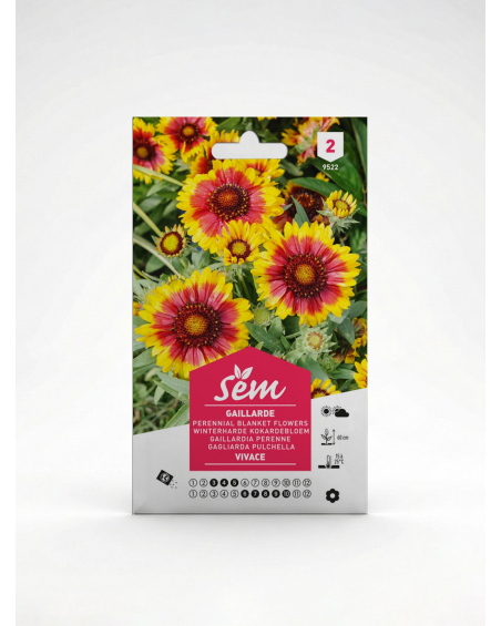 Gaillarde Vivace – Semences de Fleurs | Agriclic.tn