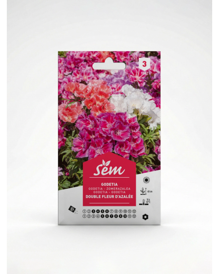 Godetia Double Fleur d’Azalée – Semences | Agriclic.tn