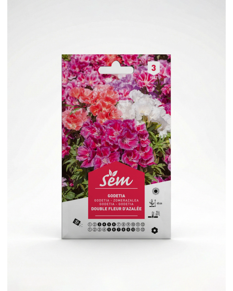 Godetia Double Fleur d’Azalée – Semences | Agriclic.tn