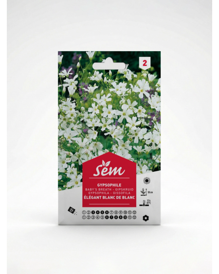 Gypsophile – Semences de Fleurs | Agriclic.tn