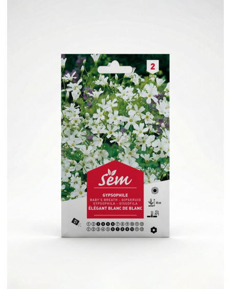 Gypsophile – Semences de Fleurs | Agriclic.tn