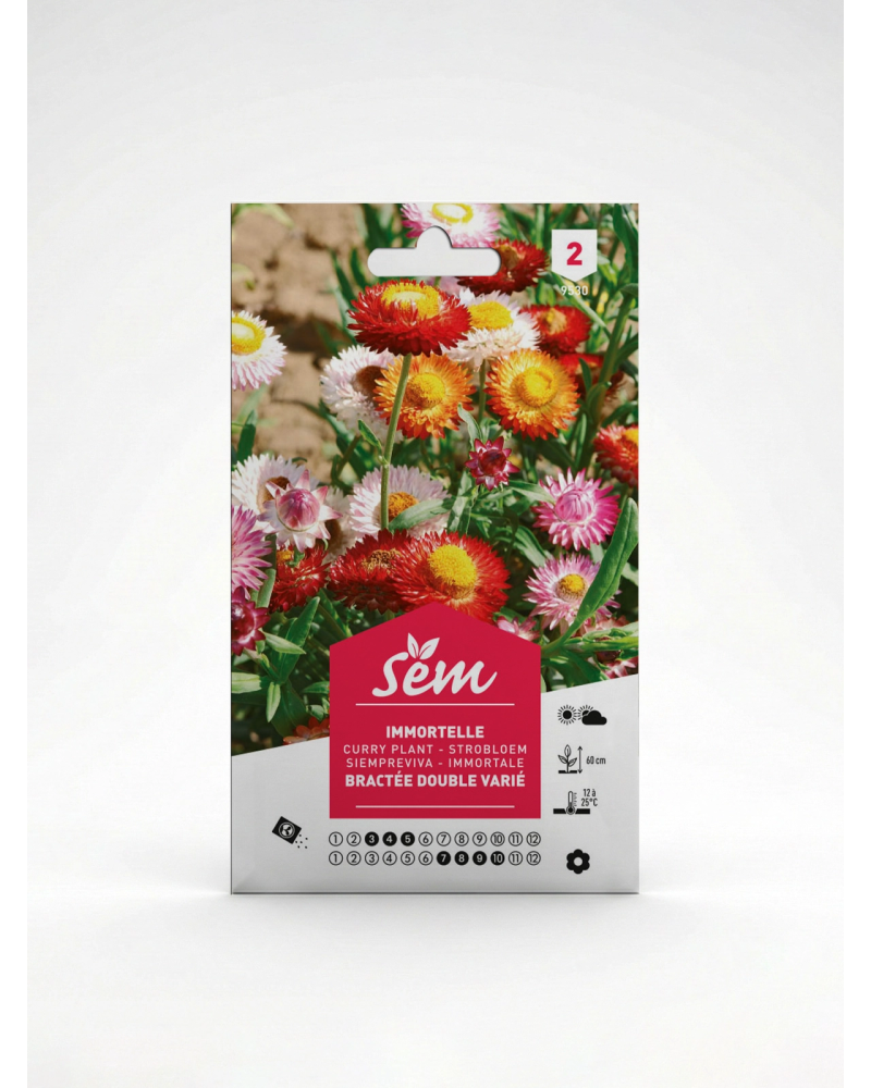 Immortèle Bractée Double Variée – Semences | Agriclic.tn