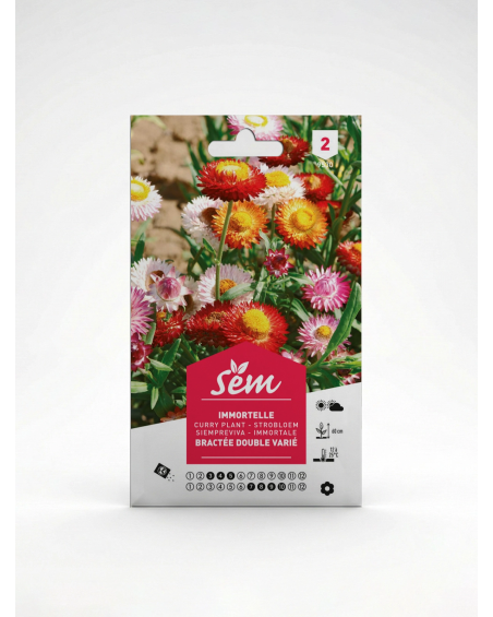 Immortèle Bractée Double Variée – Semences | Agriclic.tn