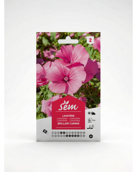 Lavatère Brillant Carmin – Semences de Fleurs | Agriclic.tn