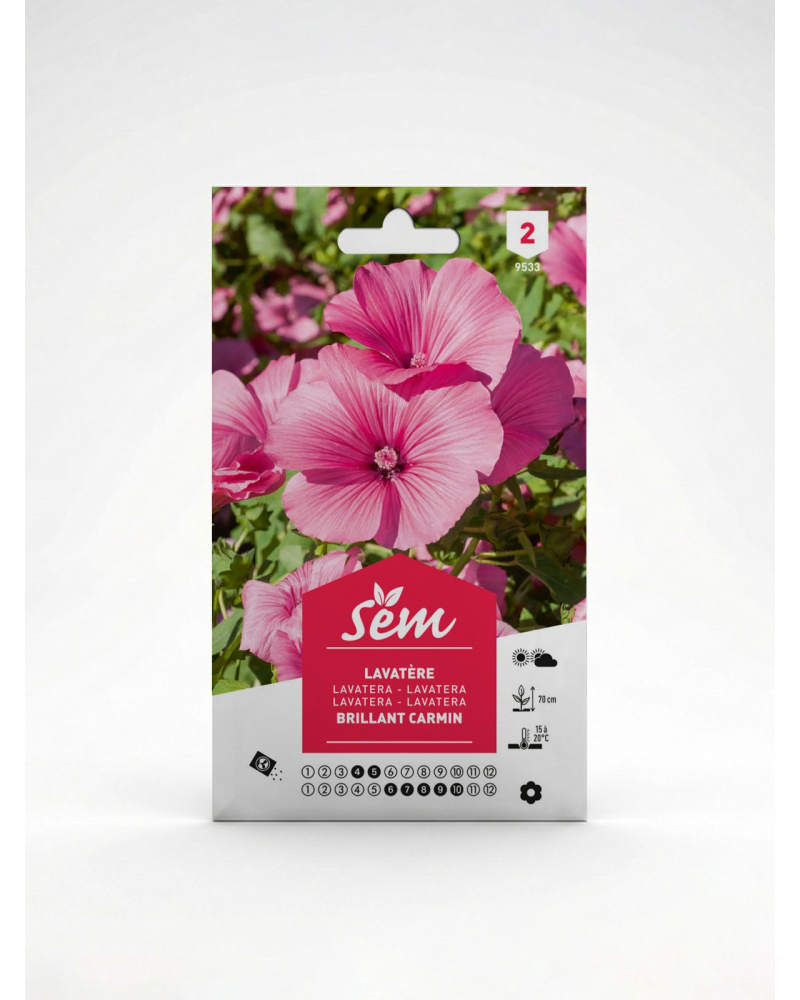 Lavatère Brillant Carmin – Semences de Fleurs | Agriclic.tn