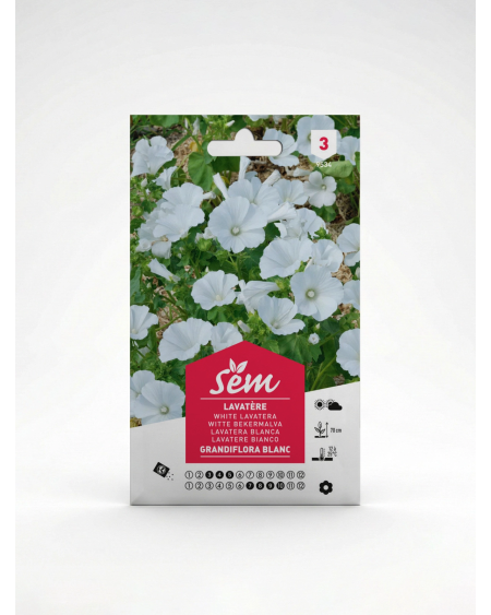 Lavatère Grandiflora Blanc – Semences de Fleurs | Agriclic.tn