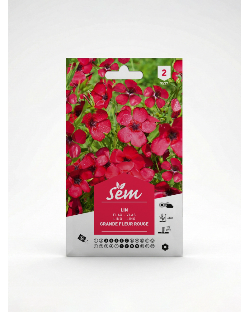 Lin – Semences de Fleurs Ornementales | Agriclic.tn
