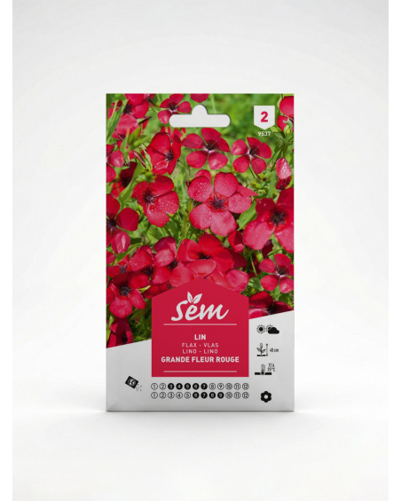 Lin – Semences de Fleurs Ornementales | Agriclic.tn